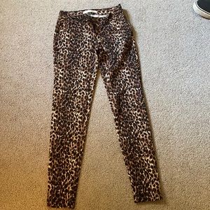 No boundaries leopard pants